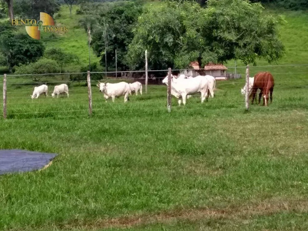Fazenda à venda de 2.508 ha em Pedra Preta, MT, Brasil
