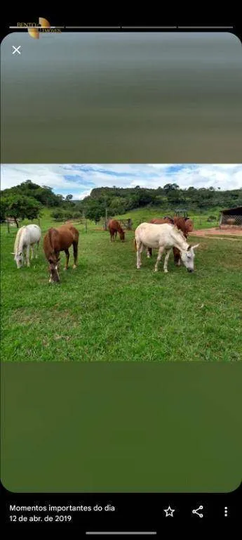Fazenda à venda de 2.508 ha em Pedra Preta, MT, Brasil