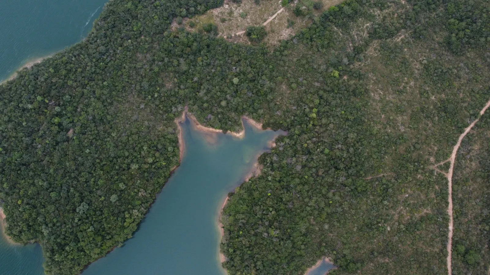 Fazenda à venda de 250 ha em Luziânia, GO, Brasil
