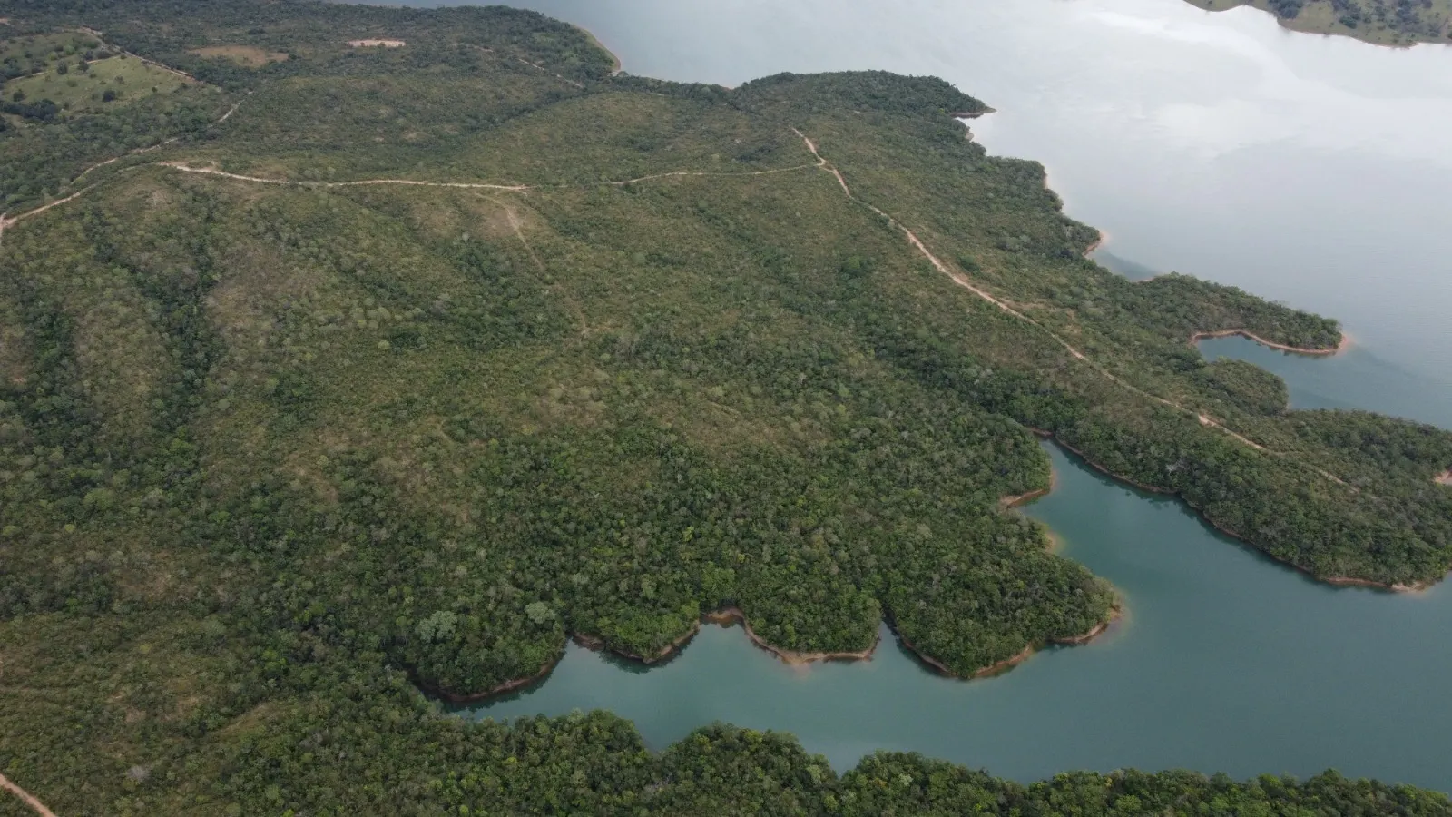 Fazenda à venda de 250 ha em Luziânia, GO, Brasil