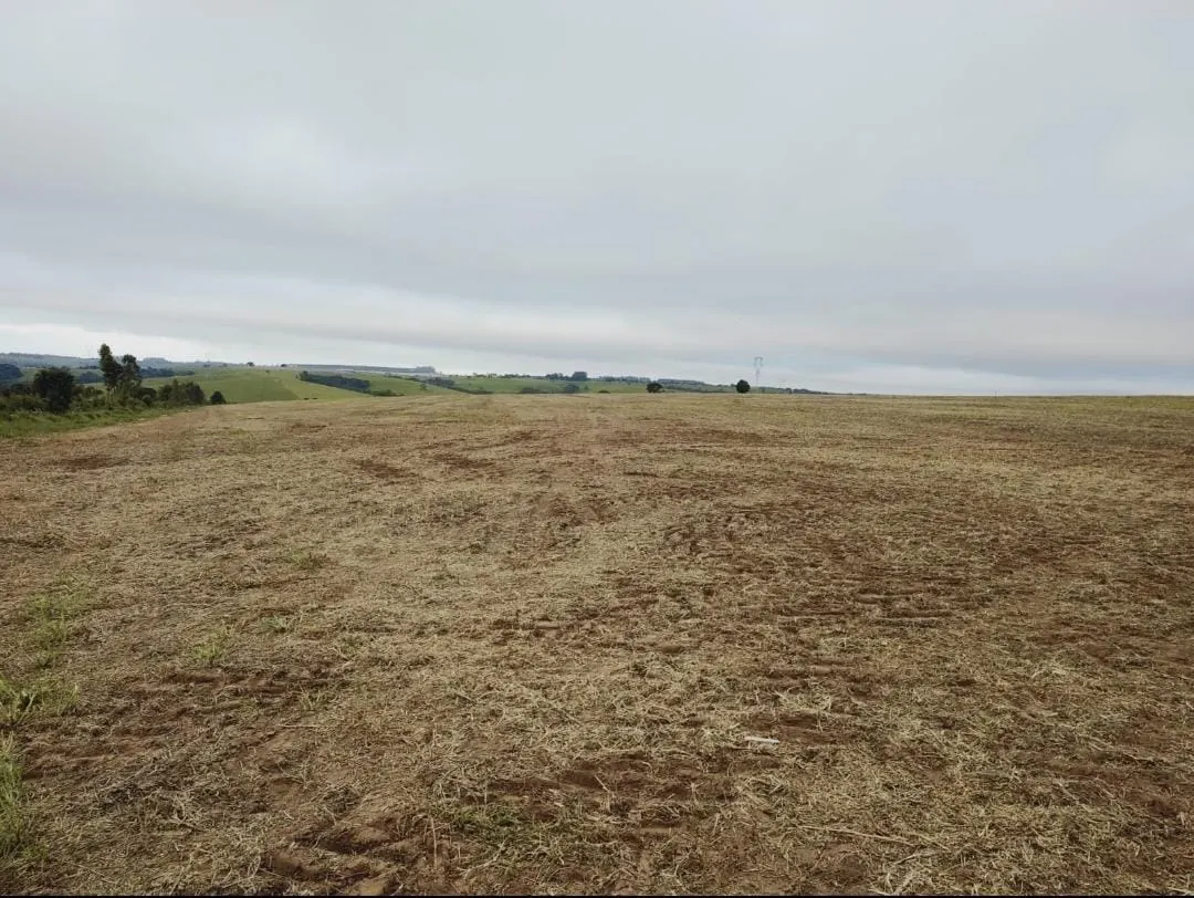 Fazenda à venda de 102 ha em Itapetininga, SP, Brasil