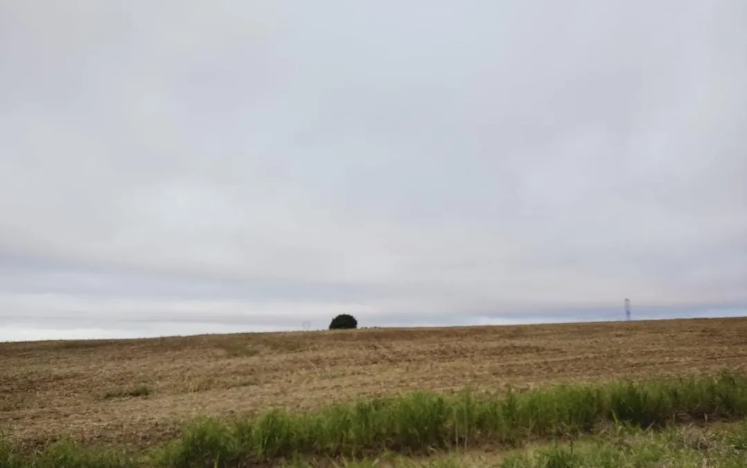 Fazenda à venda de 102 ha em Itapetininga, SP, Brasil