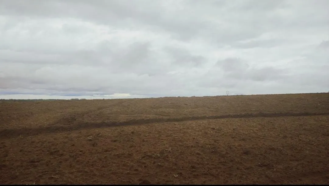 Fazenda à venda de 102 ha em Itapetininga, SP, Brasil
