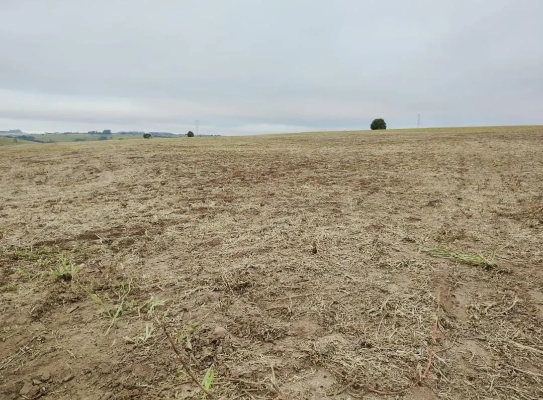 Fazenda à venda de 102 ha em Itapetininga, SP, Brasil