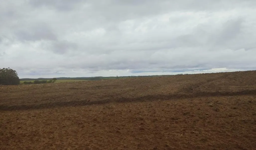 Fazenda à venda de 102 ha em Itapetininga, SP, Brasil