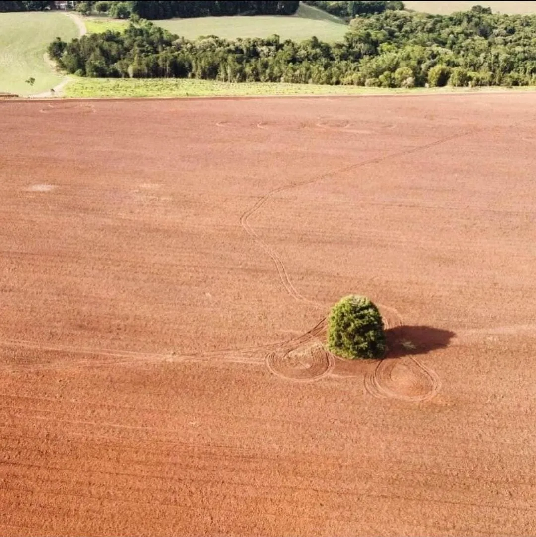 Fazenda à venda de 102 ha em Itapetininga, SP, Brasil