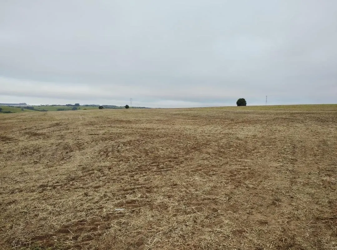 Fazenda à venda de 102 ha em Itapetininga, SP, Brasil