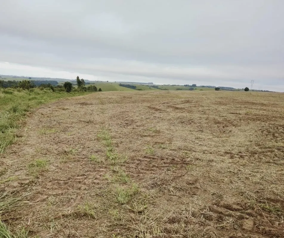 Fazenda à venda de 102 ha em Itapetininga, SP, Brasil