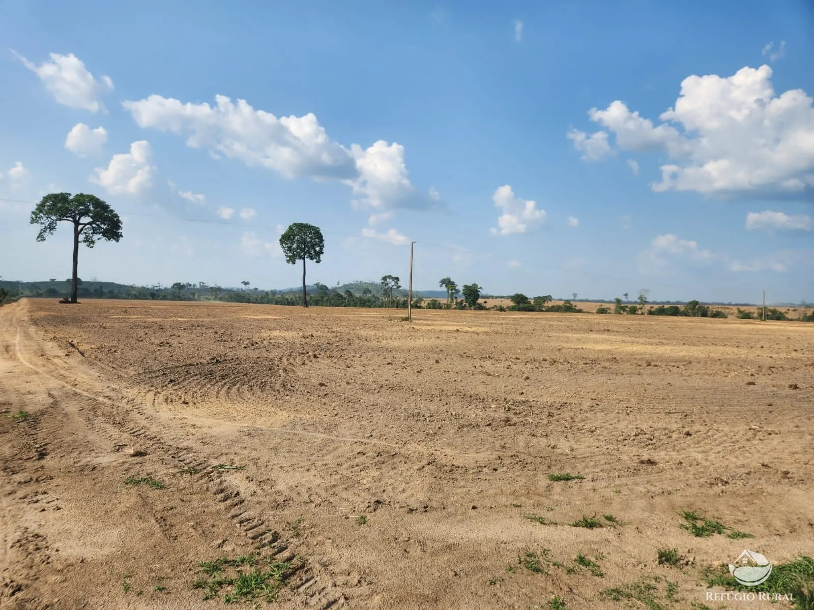 Fazenda à venda de 1.132 ha em Novo Progresso, PA, Brasil