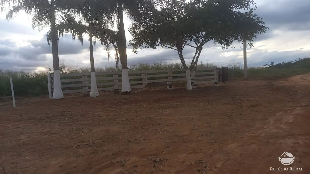 Fazenda à venda de 1.132 ha em Novo Progresso, PA, Brasil
