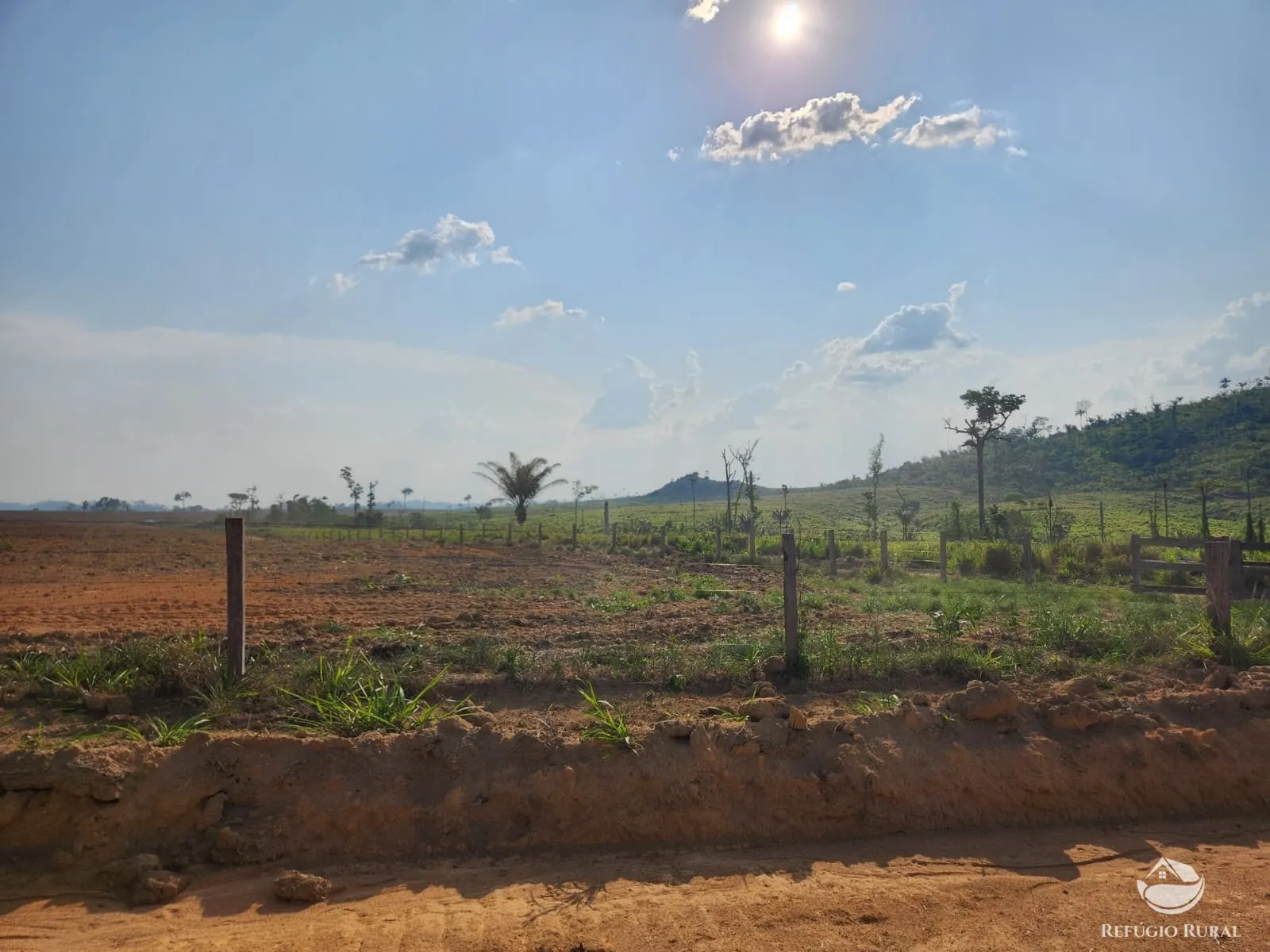 Fazenda à venda de 1.132 ha em Novo Progresso, PA, Brasil