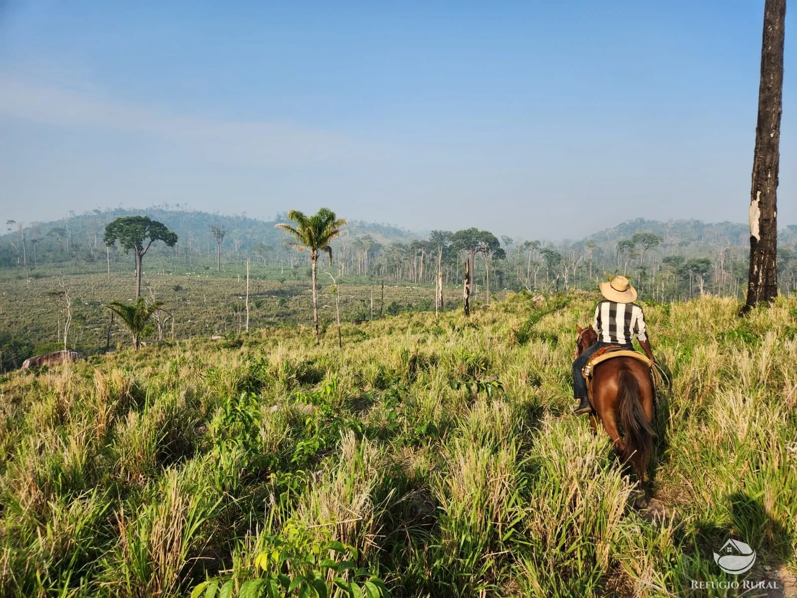 Fazenda à venda de 1.132 ha em Novo Progresso, PA, Brasil