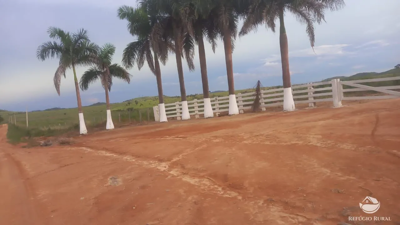Fazenda à venda de 1.132 ha em Novo Progresso, PA, Brasil