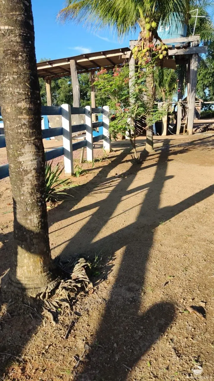 Fazenda à venda de 1.132 ha em Novo Progresso, PA, Brasil