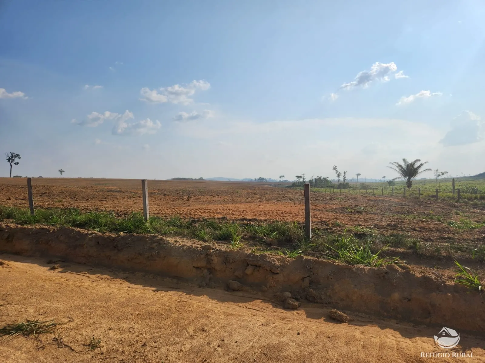 Fazenda à venda de 1.132 ha em Novo Progresso, PA, Brasil