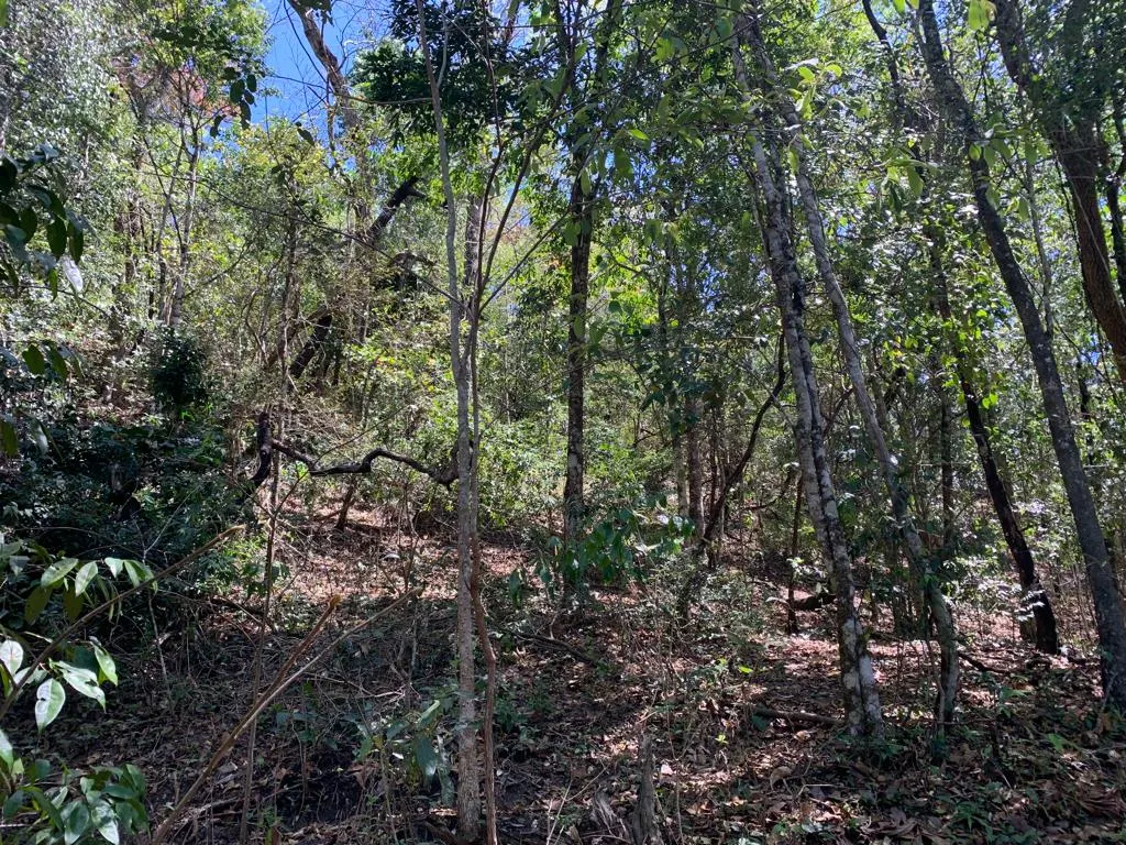 Fazenda à venda de 513 ha em Brasília, DF, Brasil
