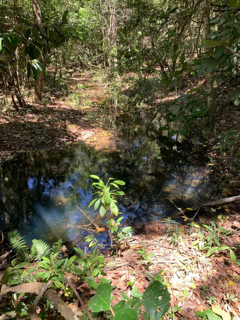 Fazenda à venda de 513 ha em Brasília, DF, Brasil