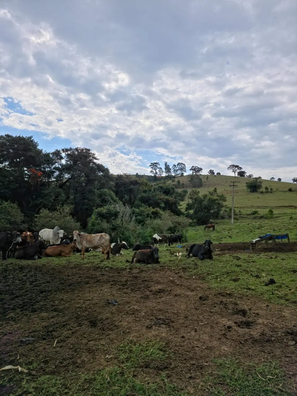 Fazenda à venda de 87 ha em Pardinho, SP, Brasil