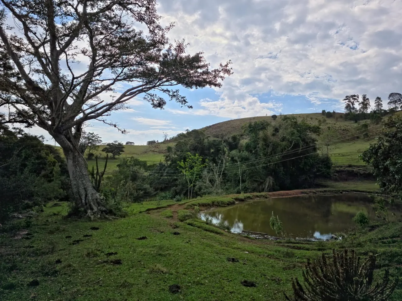 Fazenda à venda de 87 ha em Pardinho, SP, Brasil