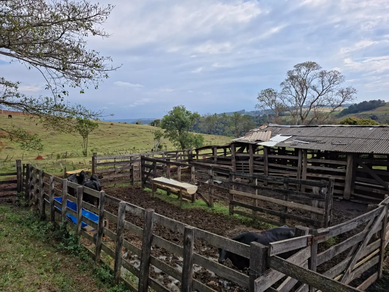 Fazenda à venda de 87 ha em Pardinho, SP, Brasil
