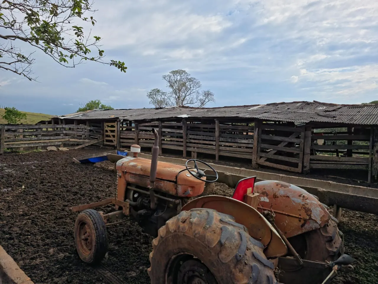 Fazenda à venda de 87 ha em Pardinho, SP, Brasil