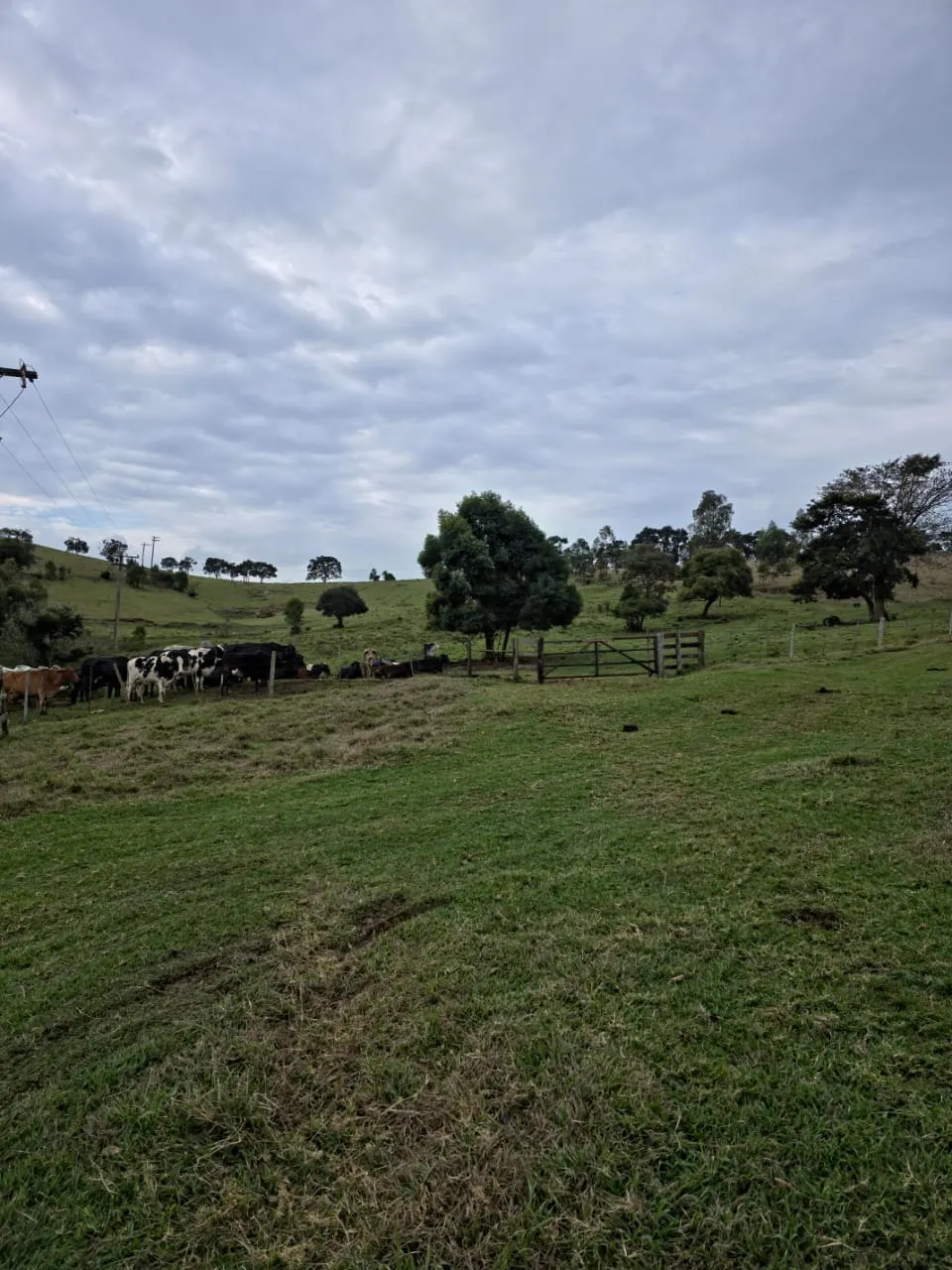 Fazenda à venda de 87 ha em Pardinho, SP, Brasil