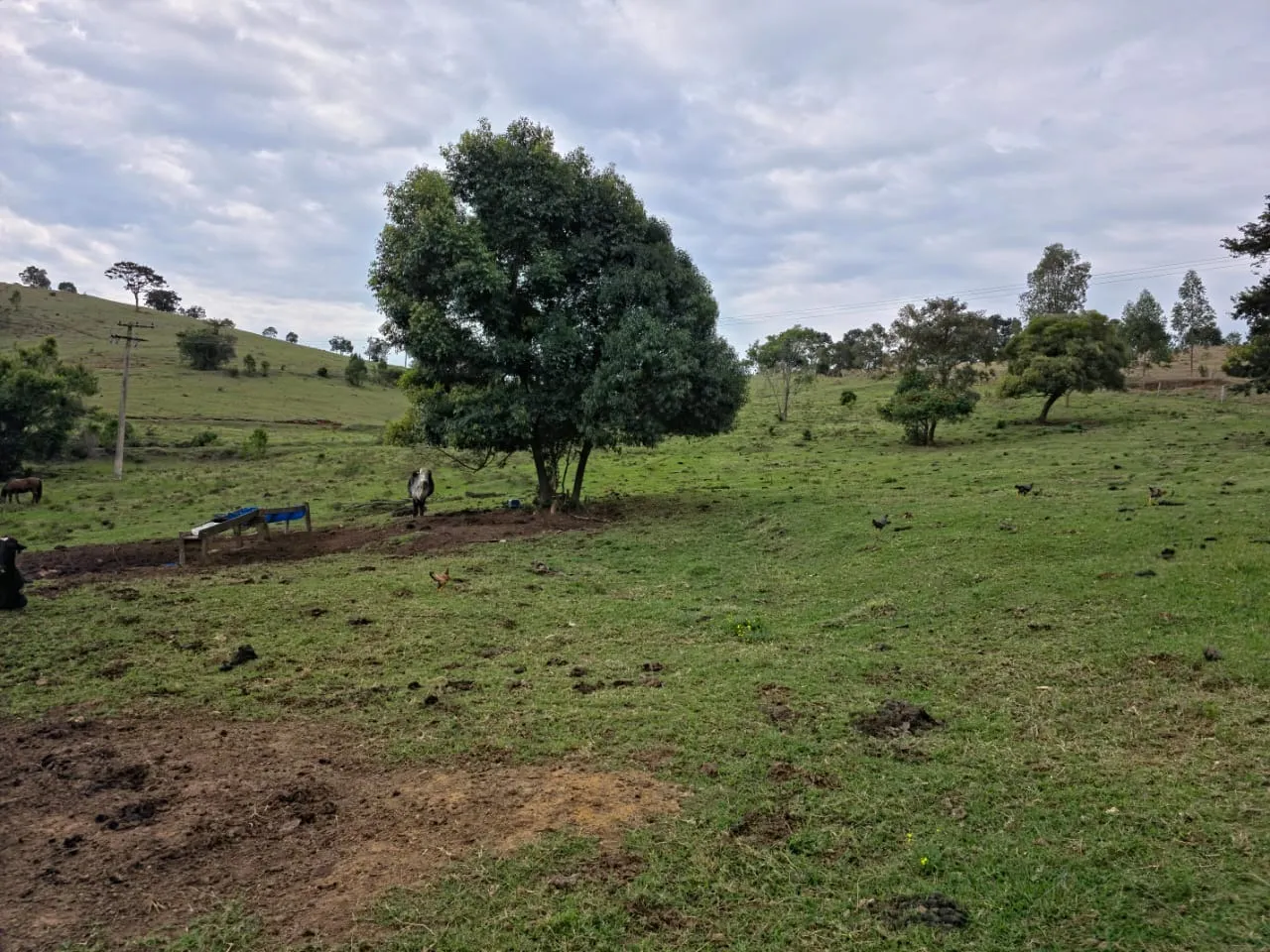 Fazenda à venda de 87 ha em Pardinho, SP, Brasil