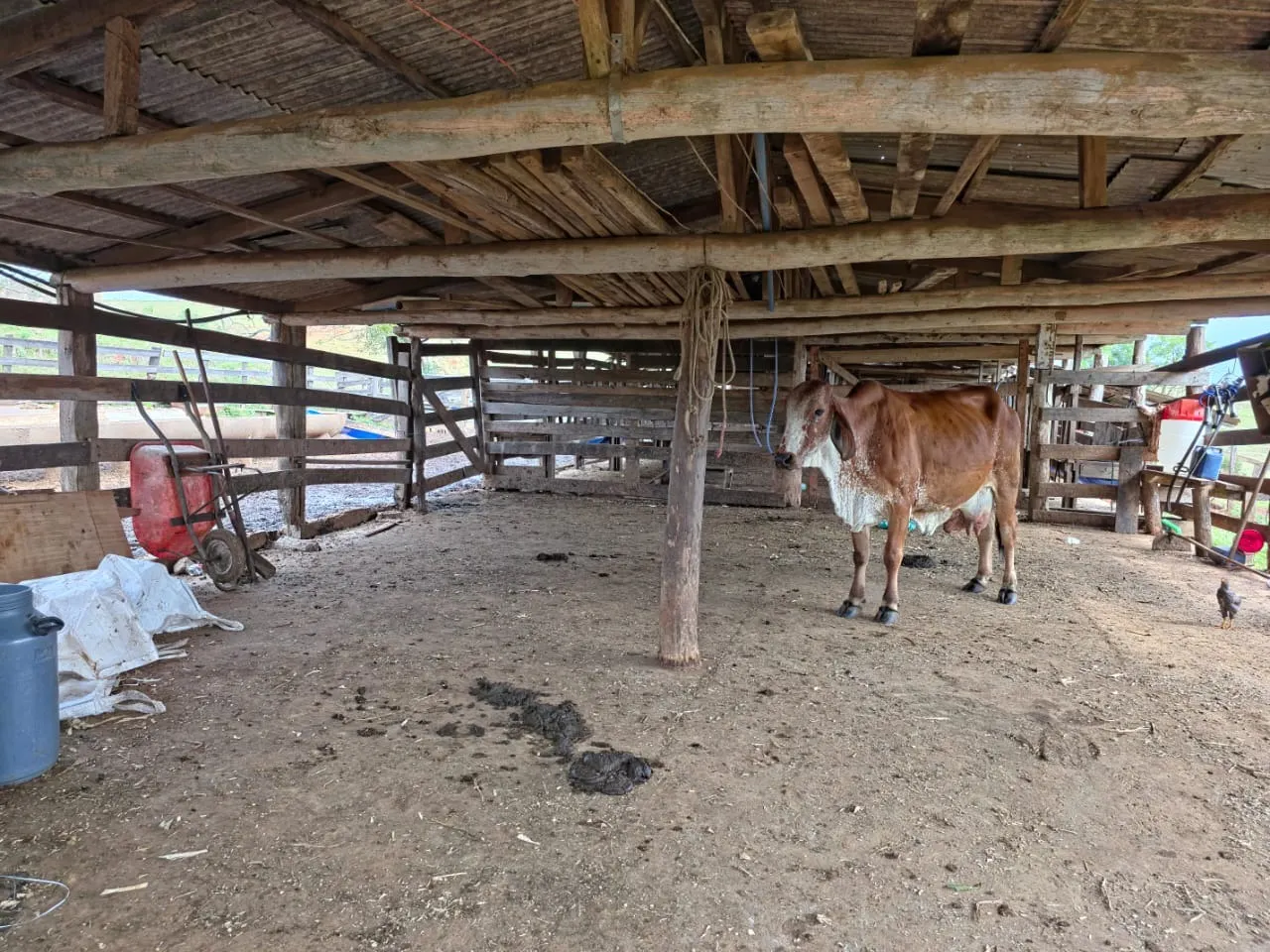 Fazenda à venda de 87 ha em Pardinho, SP, Brasil