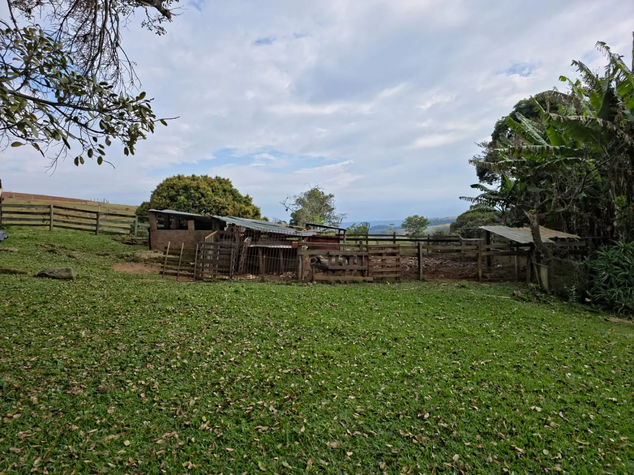 Fazenda à venda de 87 ha em Pardinho, SP, Brasil