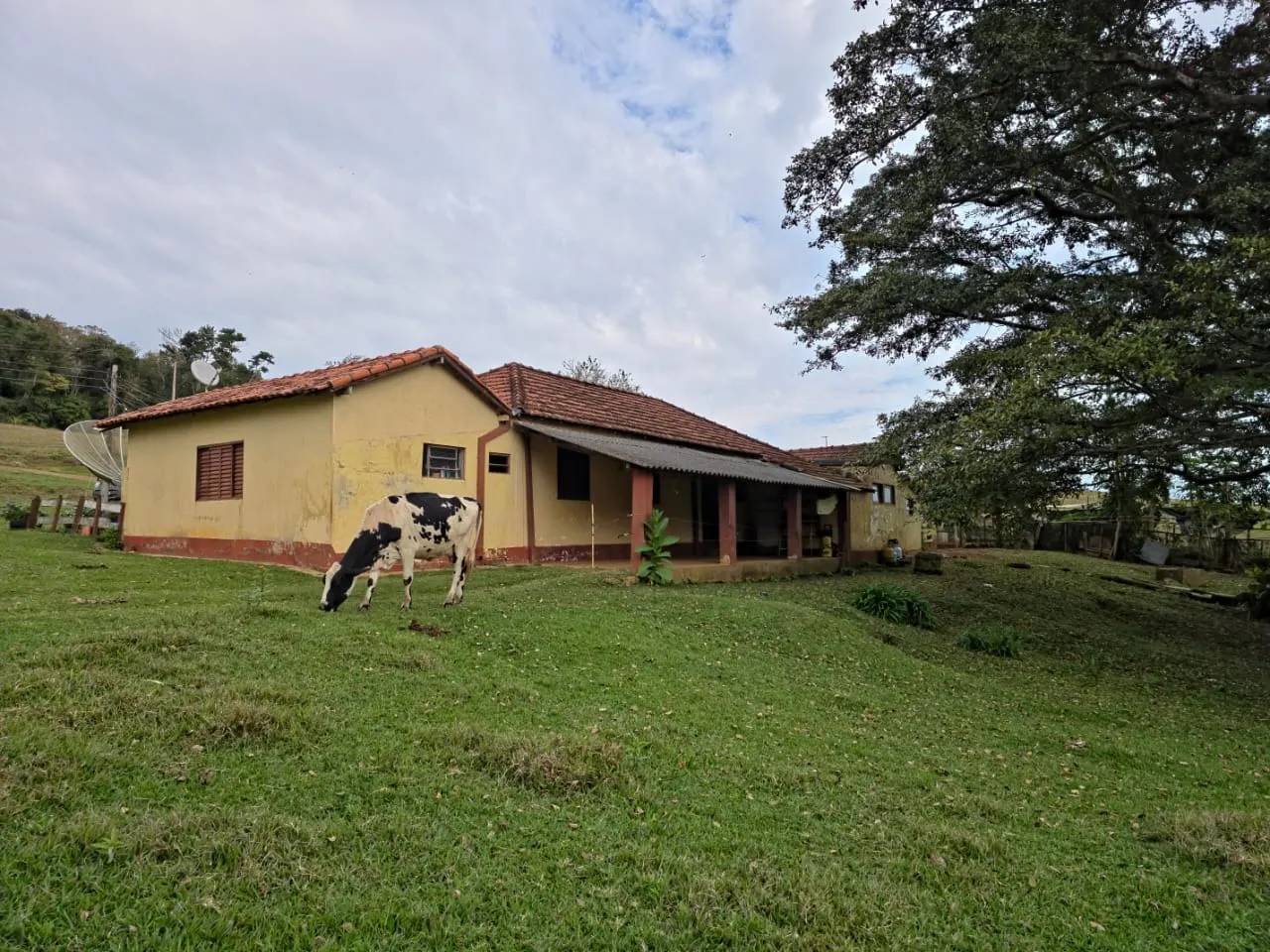 Fazenda à venda de 87 ha em Pardinho, SP, Brasil