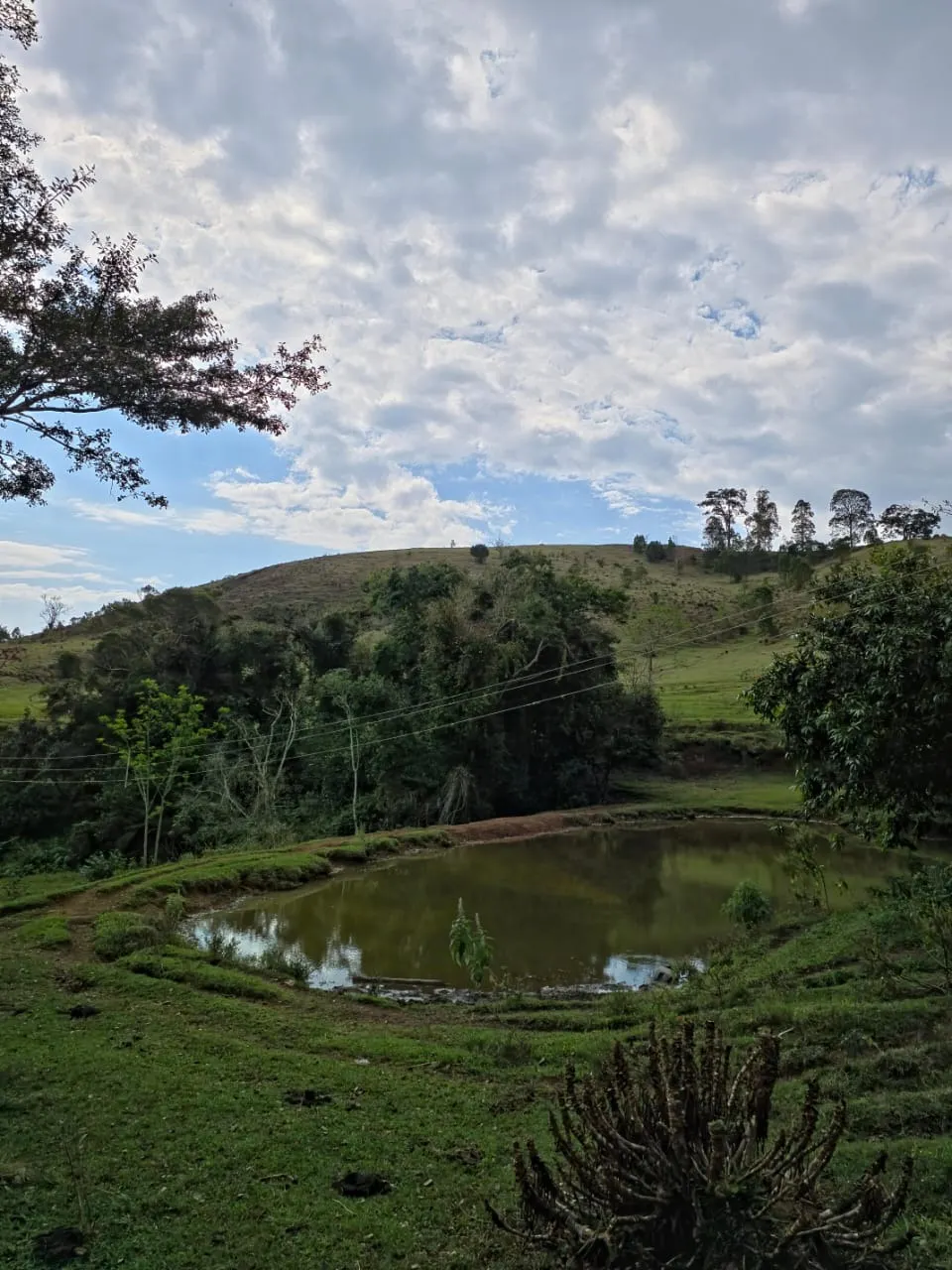 Fazenda à venda de 87 ha em Pardinho, SP, Brasil