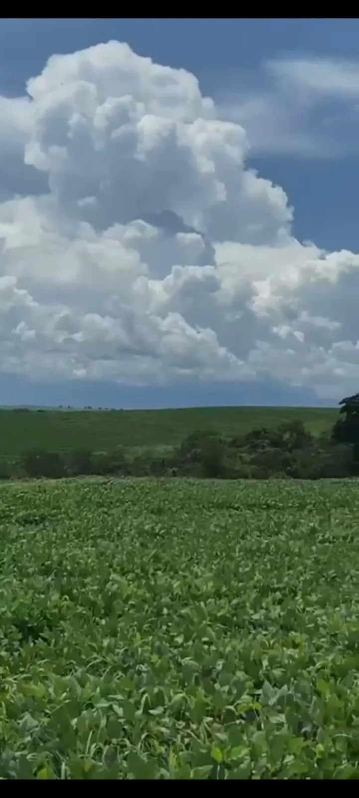Fazenda à venda de 557 ha em Luziânia, GO, Brasil