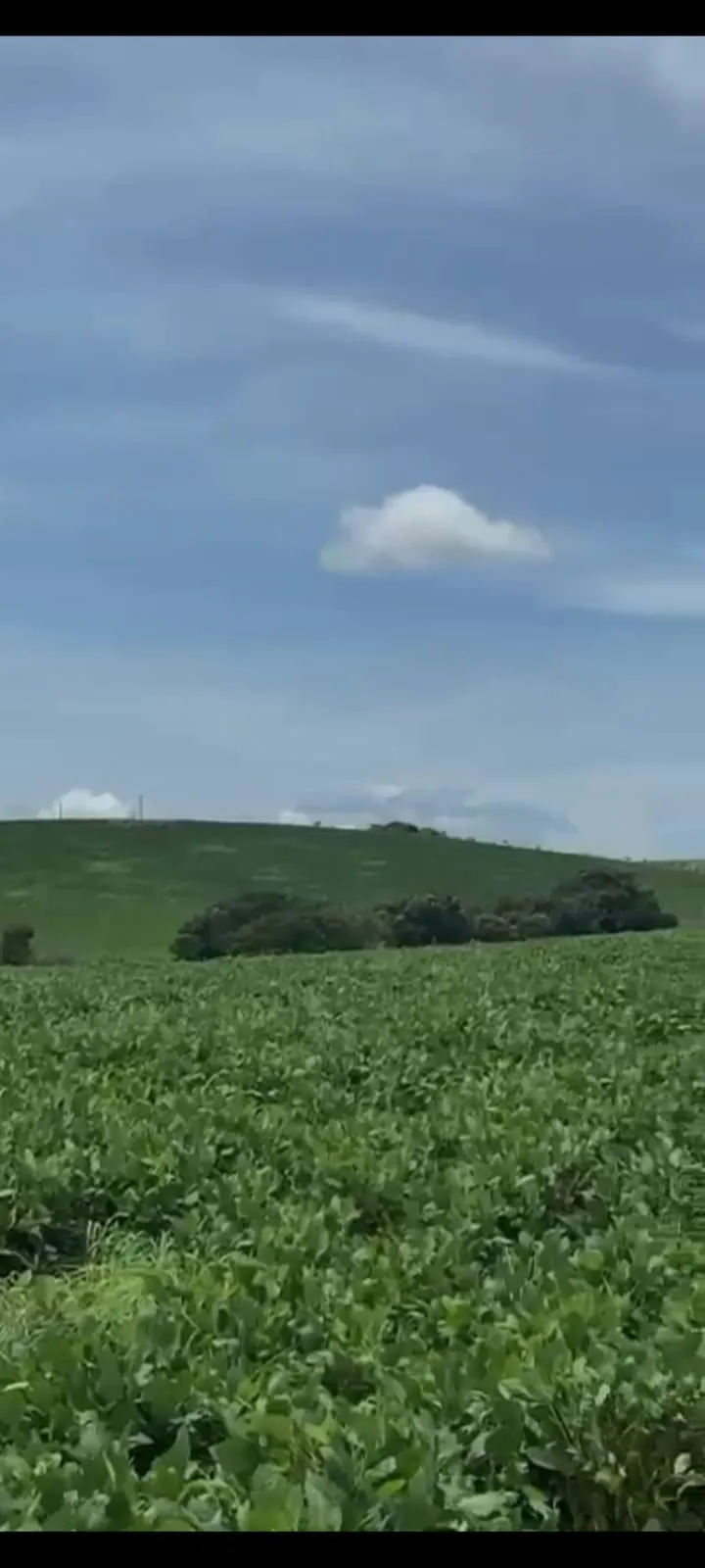 Fazenda à venda de 557 ha em Luziânia, GO, Brasil
