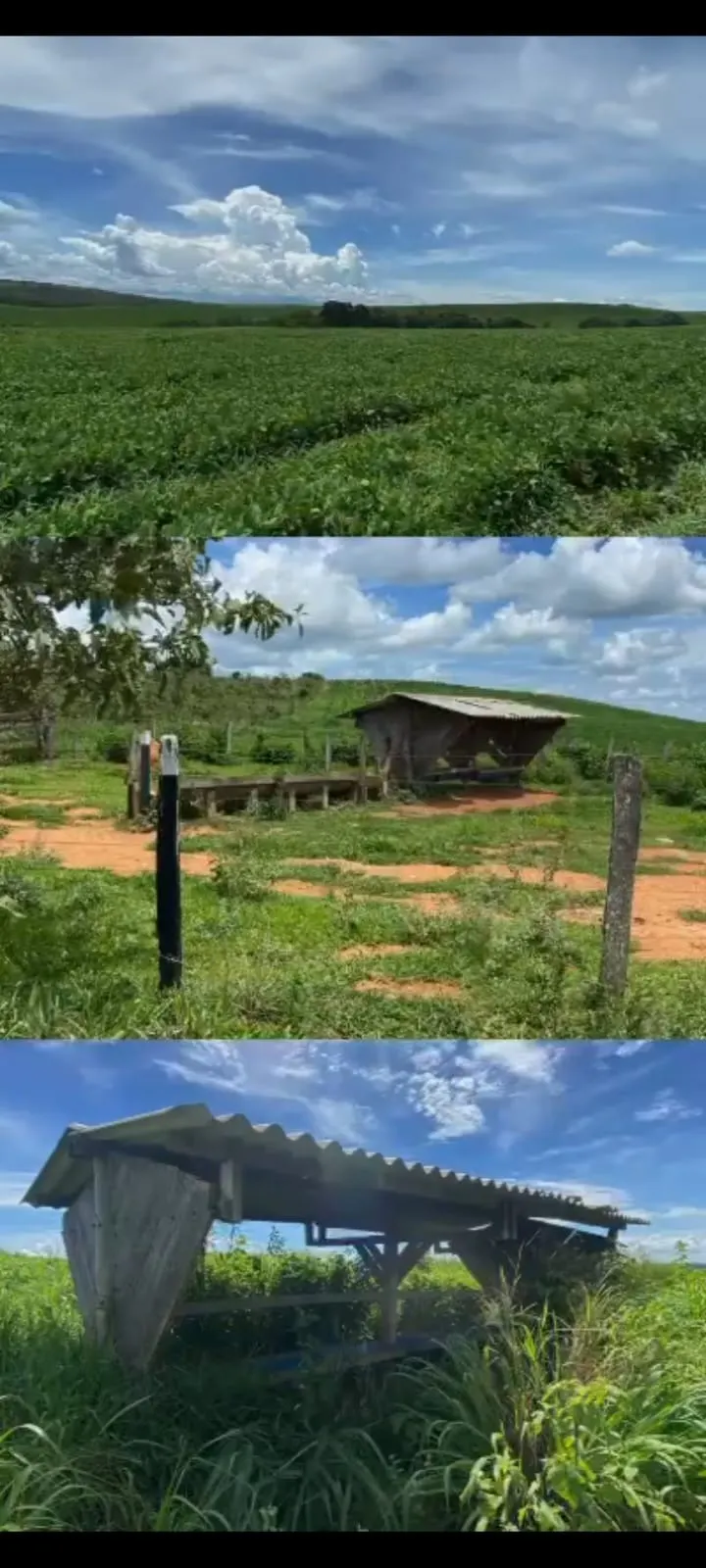 Fazenda à venda de 557 ha em Luziânia, GO, Brasil
