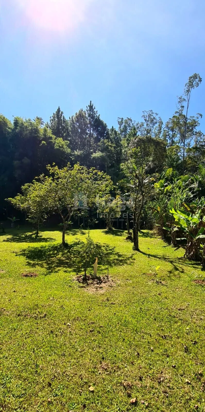 Fazenda à venda de 7.000 m² em Canelinha, SC, Brasil