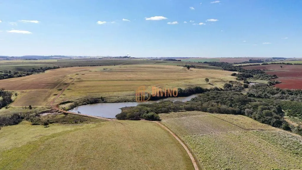 Fazenda à venda de 136 ha em Itapetininga, SP, Brasil
