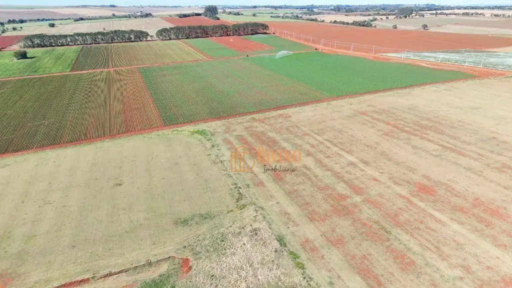 Fazenda à venda de 136 ha em Itapetininga, SP, Brasil