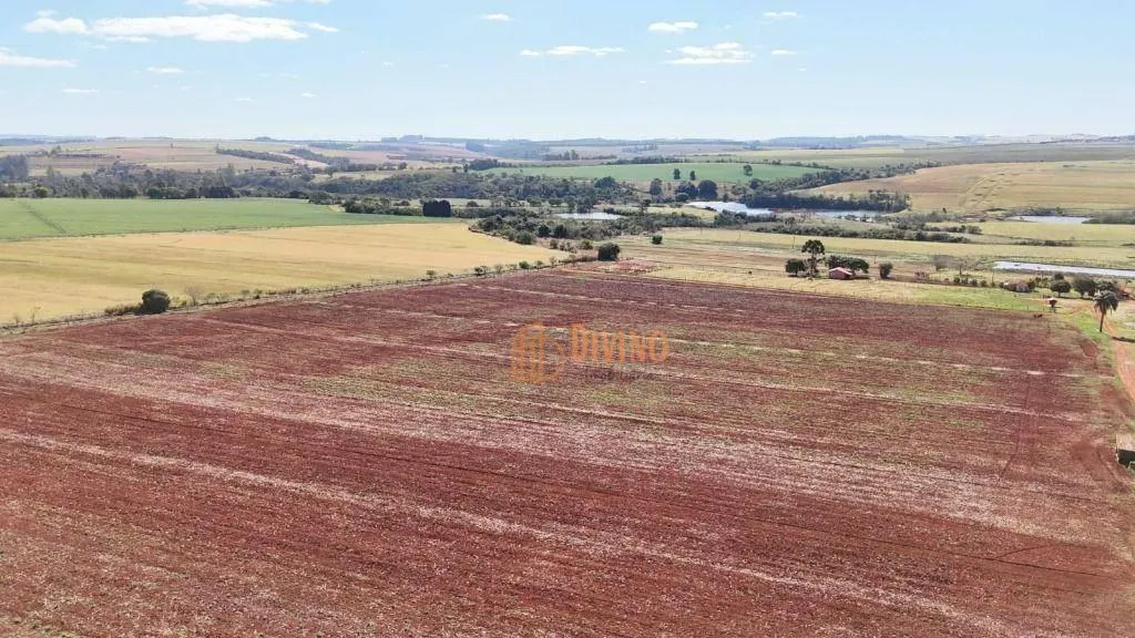 Fazenda à venda de 136 ha em Itapetininga, SP, Brasil