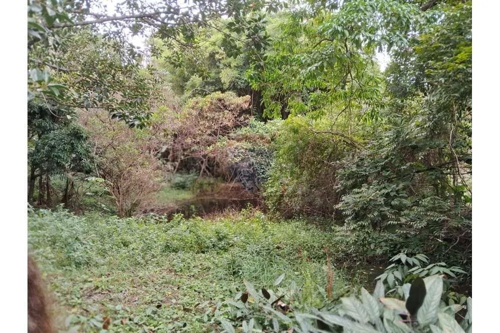 Country home for sale of 2 acres in Valinhos, SP, Brazil