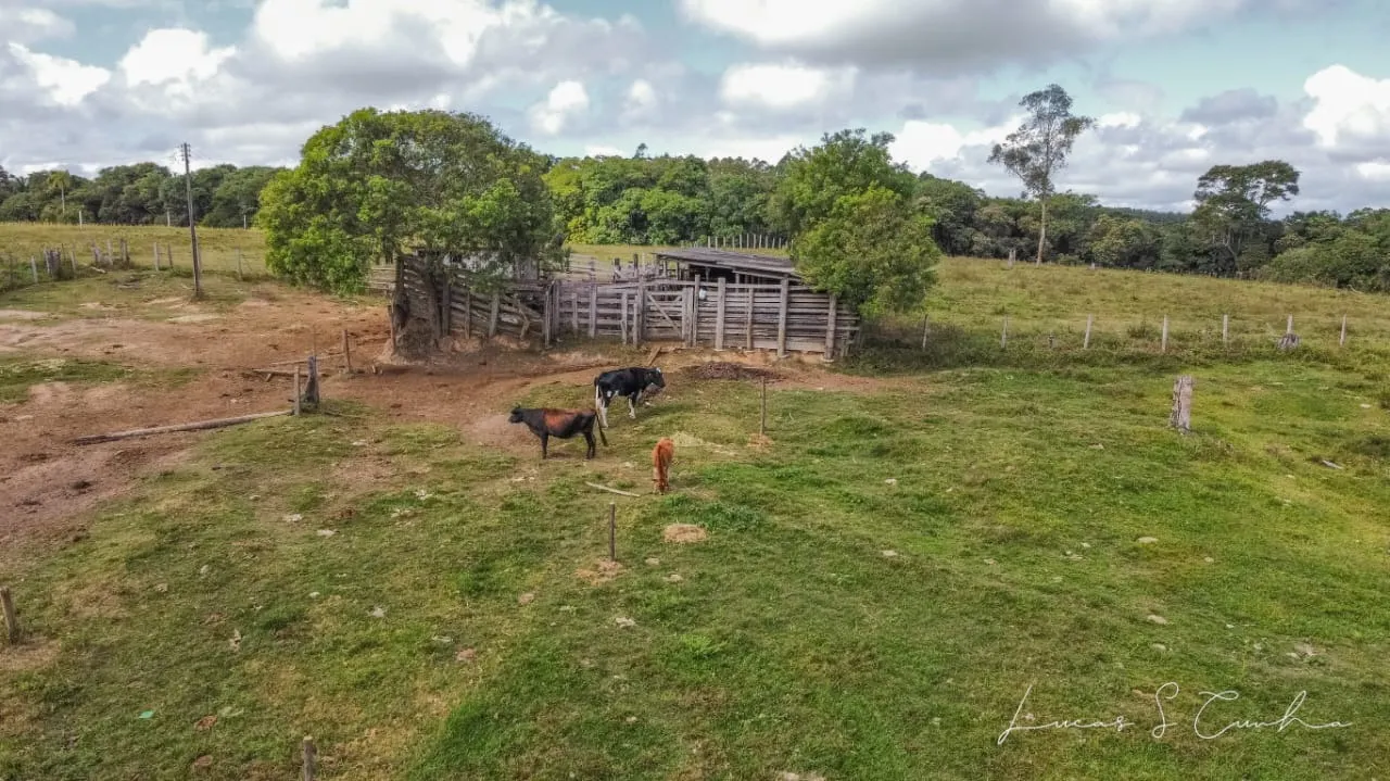 Small farm for sale of 60 acres in São Miguel Arcanjo, SP, Brazil