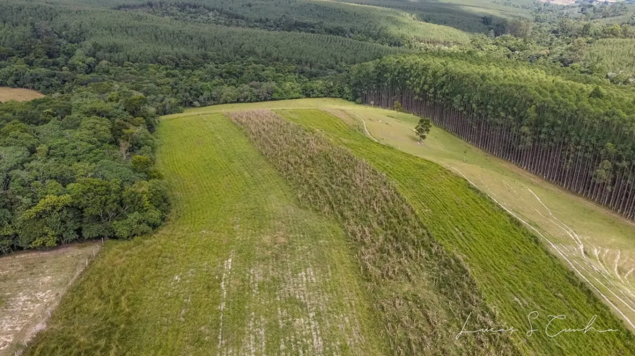 Small farm for sale of 60 acres in São Miguel Arcanjo, SP, Brazil