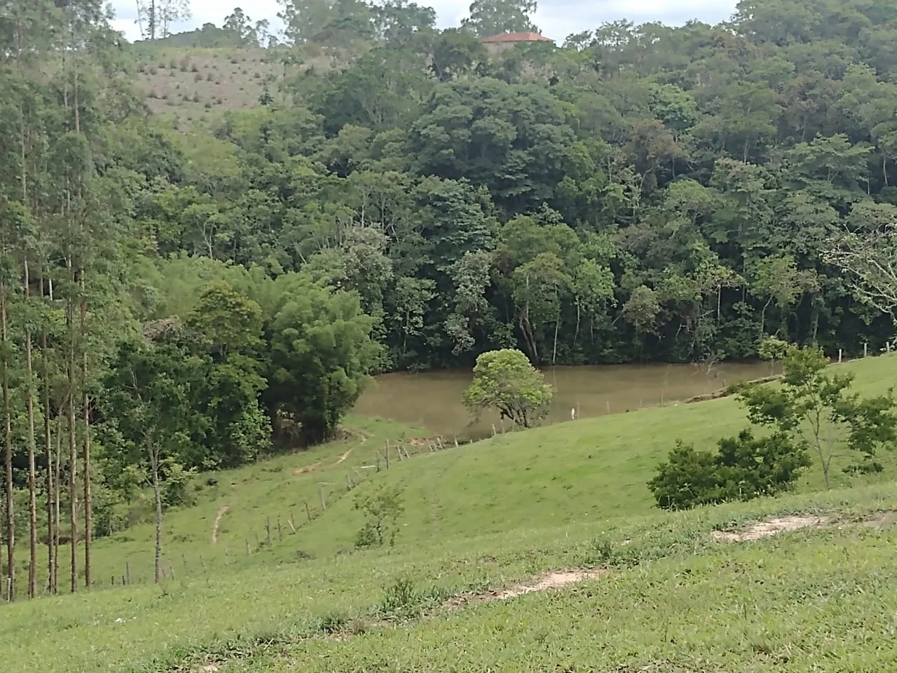 Small farm for sale of 60 acres in São Miguel Arcanjo, SP, Brazil