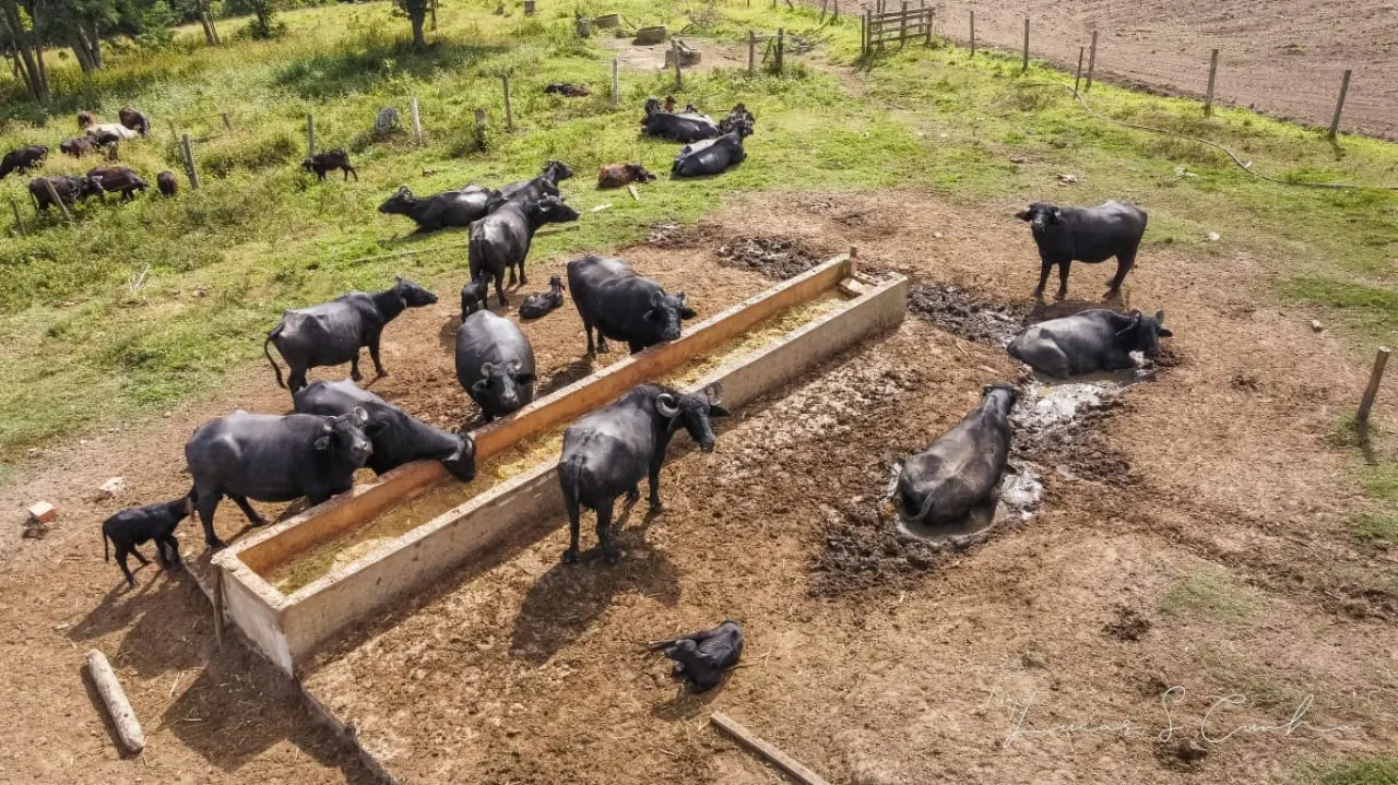 Small farm for sale of 60 acres in São Miguel Arcanjo, SP, Brazil