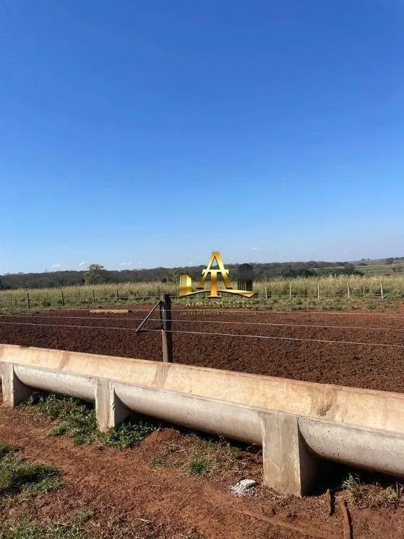 Fazenda à venda de 1.089 ha em Rubinéia, SP, Brasil