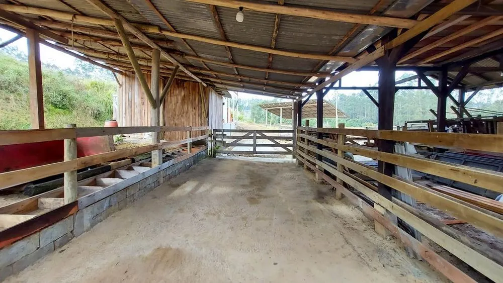 Sítio à venda de 21 ha em Witmarsum, SC, Brasil