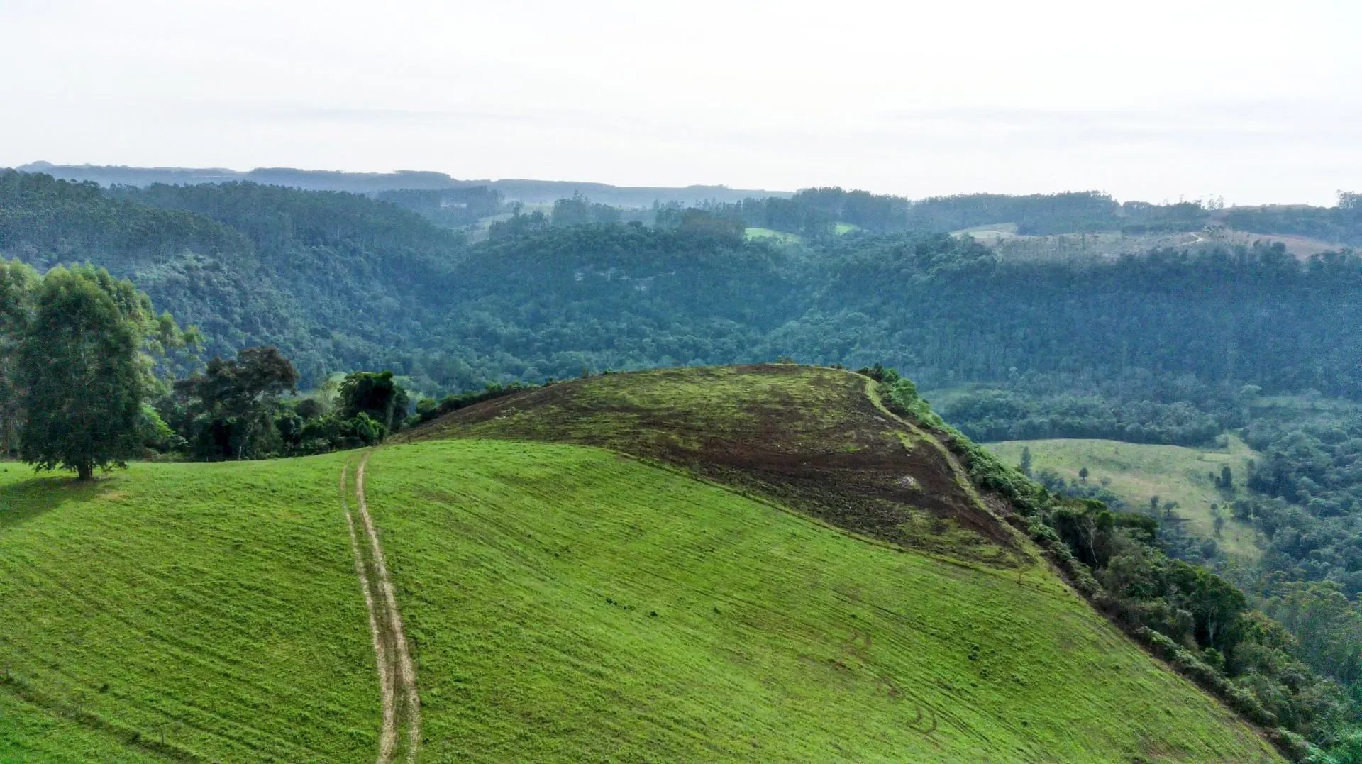 Sítio à venda de 21 ha em Witmarsum, SC, Brasil