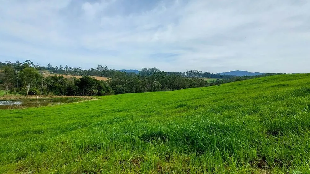 Sítio à venda de 21 ha em Witmarsum, SC, Brasil
