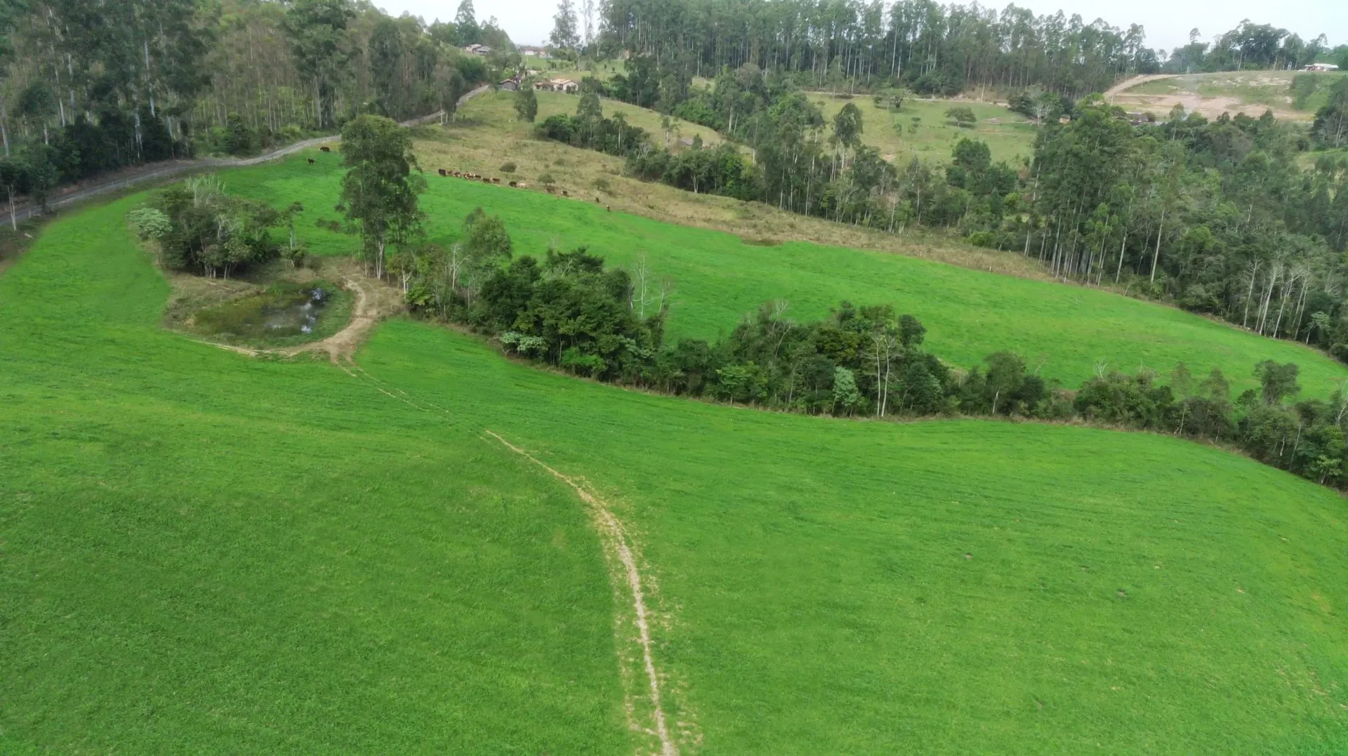 Sítio à venda de 21 ha em Witmarsum, SC, Brasil