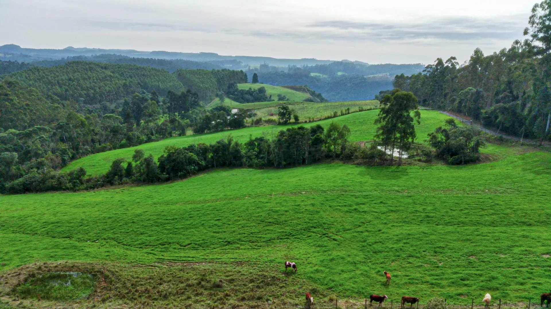 Sítio à venda de 21 ha em Witmarsum, SC, Brasil