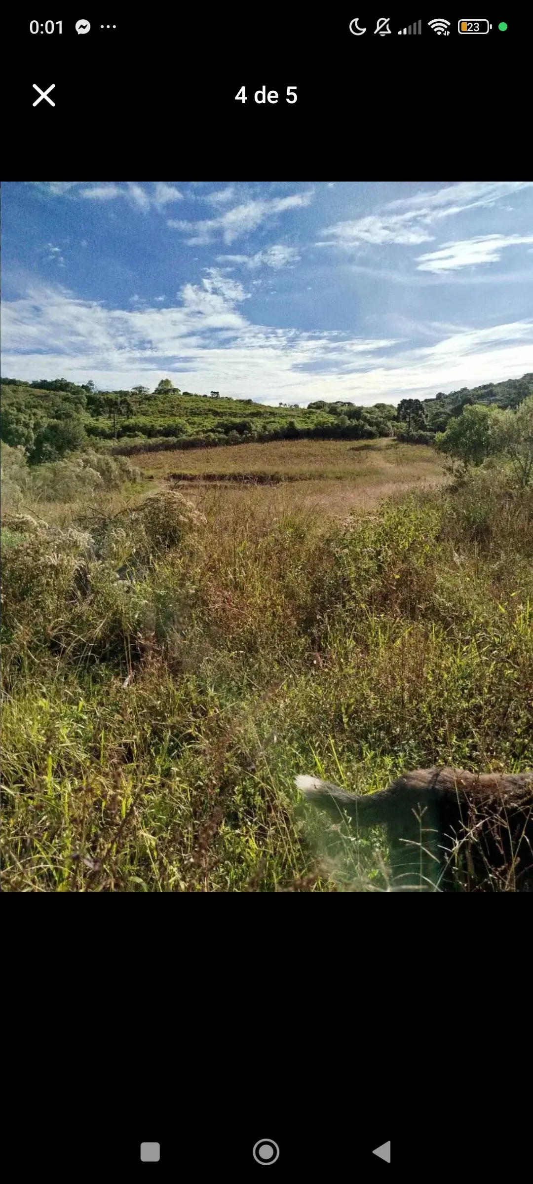 Chácara à venda de 45 ha em Caçapava do Sul, RS, Brasil